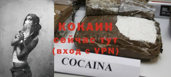 альфа пвп Горнозаводск