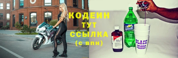 прущие крисы Горняк