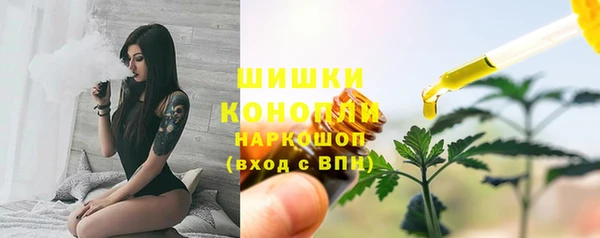 ГАЛЛЮЦИНОГЕННЫЕ ГРИБЫ Липки