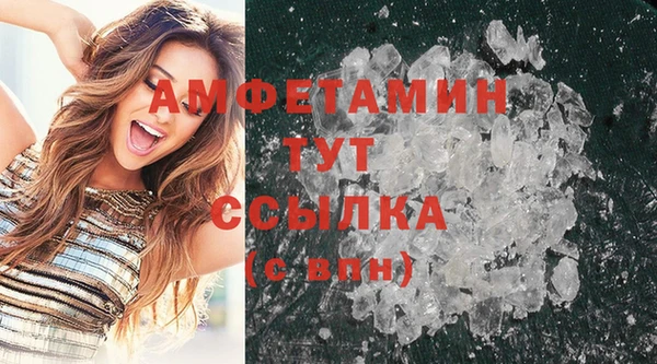 прущие крисы Горняк