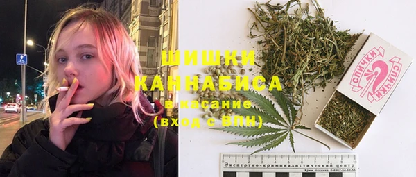 прущие крисы Горняк
