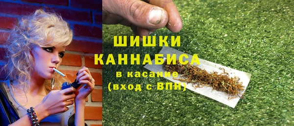 прущие крисы Горняк
