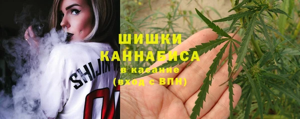 альфа пвп Горнозаводск