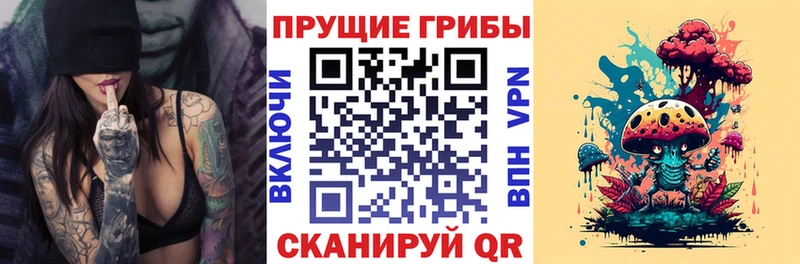 Галлюциногенные грибы Psilocybine cubensis  Михайлов 